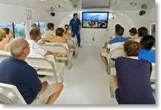 BVI Caribbean Undersea Adventures