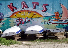 Kats Kids
