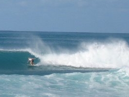 A great day of Surfing at the Bomba Shack