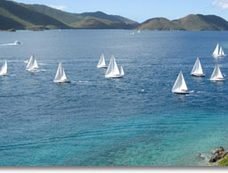 Pelican Island, BVI